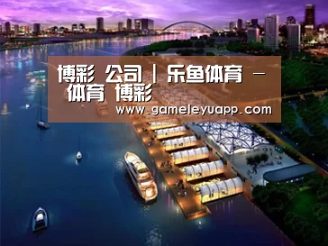 案例展示八