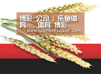 博彩 公司 | 乐鱼体育 - 体育 博彩