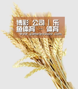博彩 公司 | 乐鱼体育 - 体育 博彩
