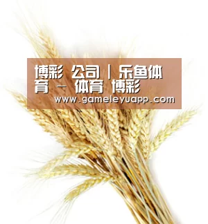博彩 公司 | 乐鱼体育 - 体育 博彩