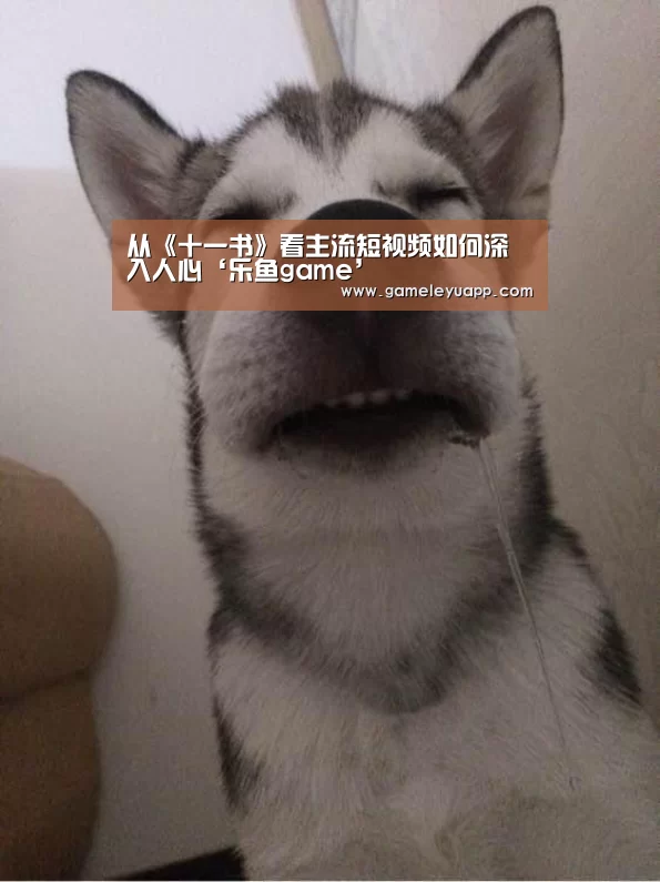 乐鱼娱乐